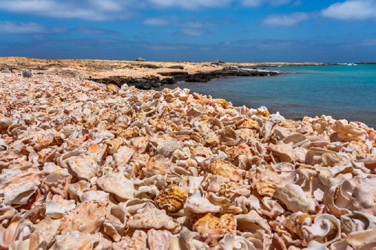 30 Boa Vista, Praia do Mosquito.jpg